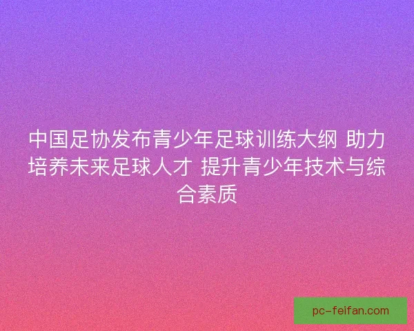 中国足协发布青少年足球训练大纲 助力培养未来足球人才 提升青少年技术与综合素质